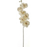 Веточка орхидея HOUSE OF SEASONS 75*10*5 см цвет белый 83485